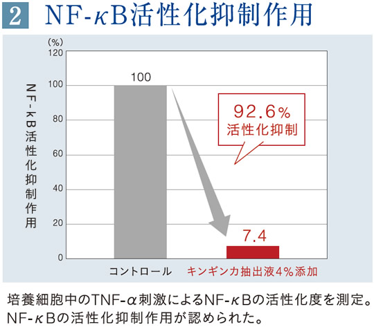 NF-κB活性化抑制作用