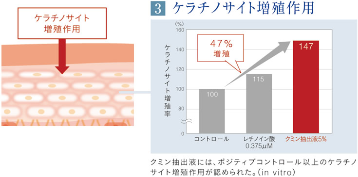 ケラチノサイト増殖作用