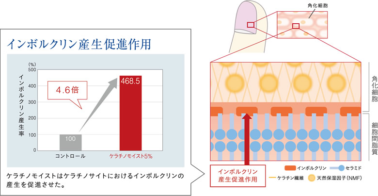 インボルクリン産生抑制作用