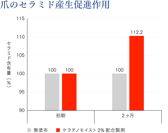 爪のセラミド産生促進作用