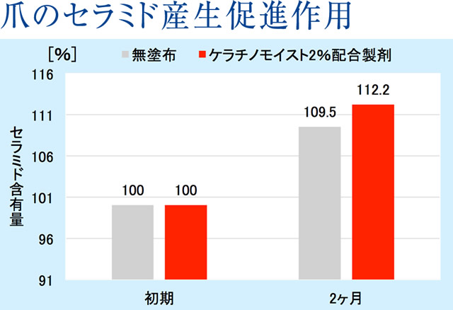 爪のセラミド産生促進作用