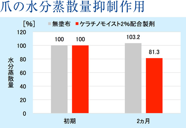 爪の水分蒸散量抑制作用