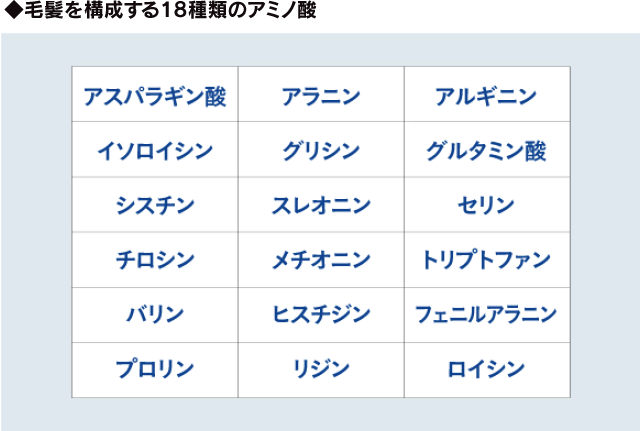 毛髪を構成する18種類のアミノ酸