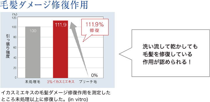 イカスミエキスの毛髪ダメージ修復作用