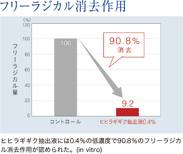 ヒヒラギギク抽出液のフリーラジカル消去作用。0.4％の濃度で90.8％の消去作用が認められた。