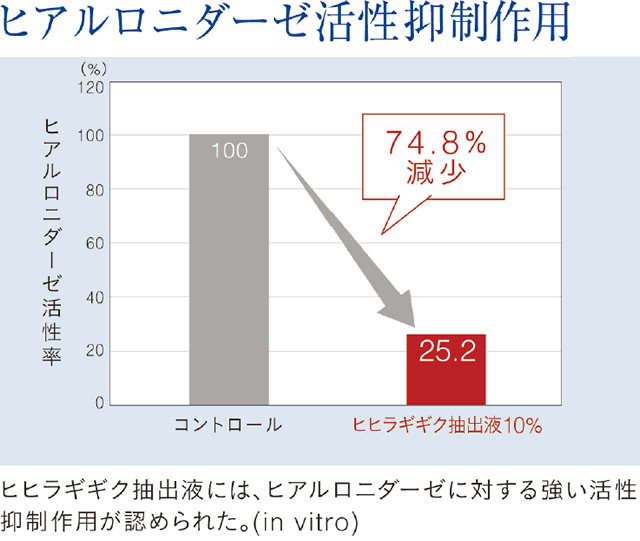 ヒヒラギギク抽出液のヒラルロニダーゼ活性抑制作用。活性率が74.8％減少した。