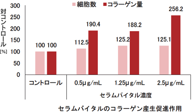 セラムバイタルのコラーゲン産生促進作用