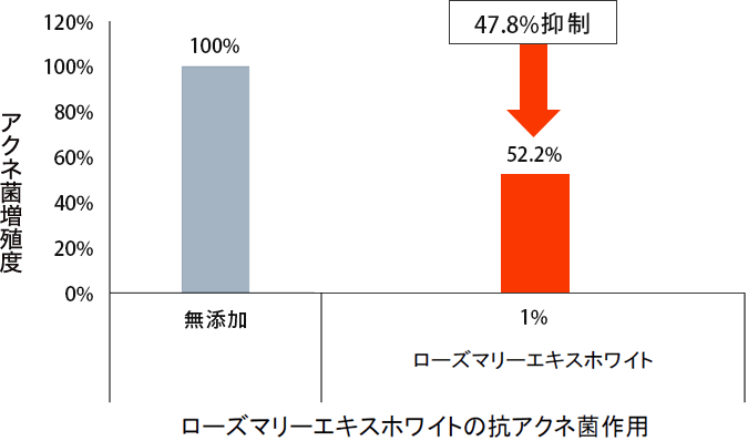 ローズマリーエキスホワイトの抗アクネ菌作用。1％濃度でアクネ菌増殖を47.8％抑制