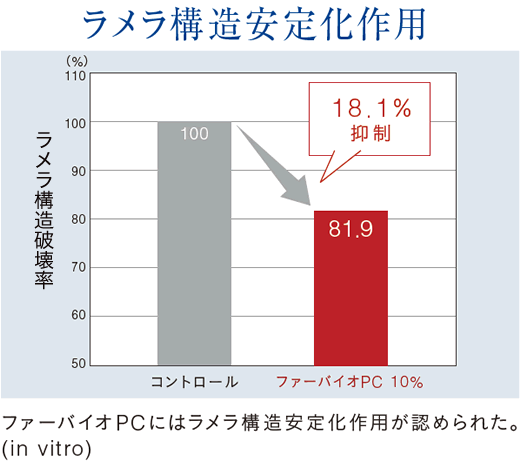 ファーバイオPCのラメラ構造安定化作用