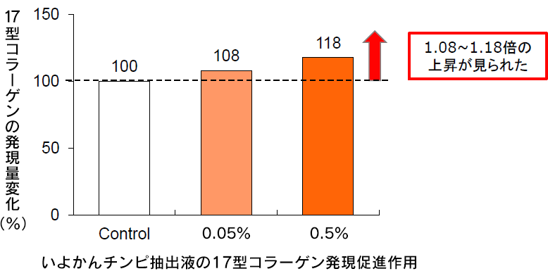 いよかんチンピ抽出液の17型コラーゲン発現促進作用