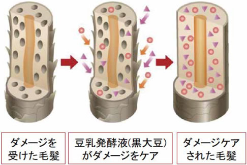 豆乳発酵液のダメージケアイメージ