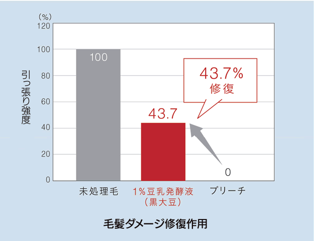 豆乳発酵液（黒大豆）の毛髪ダメージ修復作用