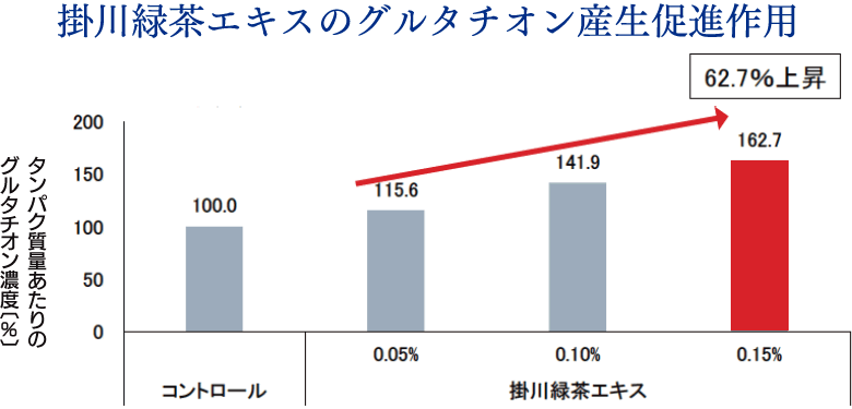 掛川緑茶エキスのグルタチオン産生促進作用。0.15%濃度で、グルタチオン濃度が62.7％上昇。