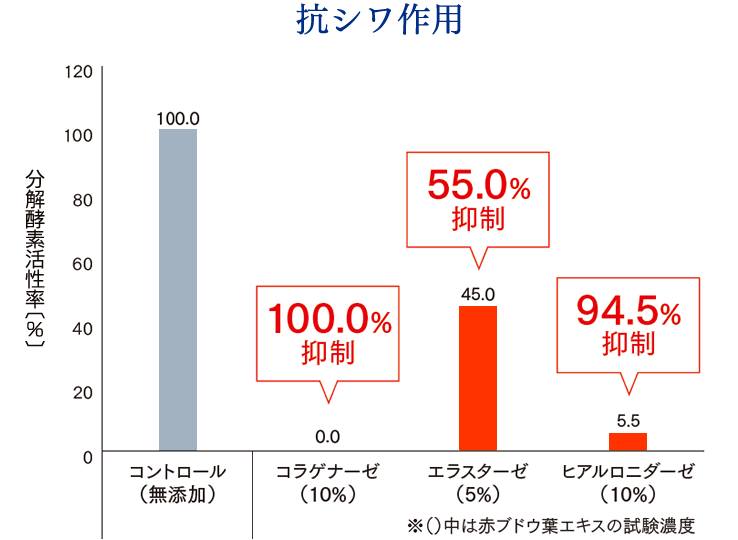 赤ブドウ葉エキスの抗シワ作用