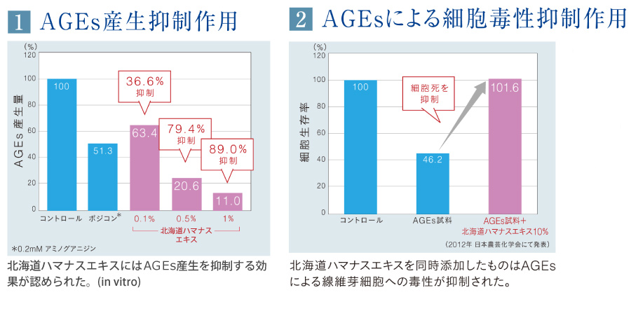 北海道ハマナスエキスのAGEs産生抑制作用とAGEsによる細胞毒性抑制作用