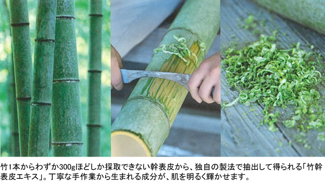 竹幹表皮エキス。竹1本から300gほどしか採取できない幹表皮から得られる。幹表皮の採取は手作業