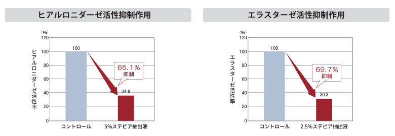 ステビア抽出液のヒアルロニダーゼ活性抑制作用とエラスターゼ活性抑制作用