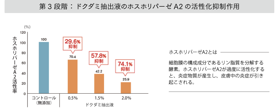 ドクダミ抽出液のホスホリパーゼA2の活性化抑制作用
