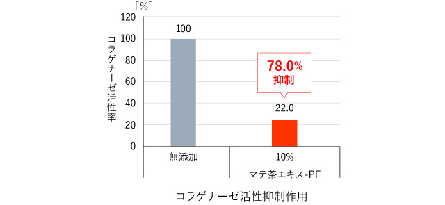 マテ茶エキスのコラゲナーゼ活性抑制作用