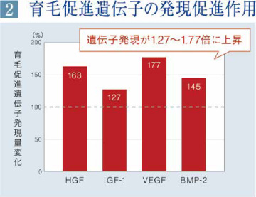 欧州ホップエキスの育毛促進遺伝子の発現促進作用