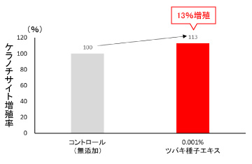 長崎ツバキ種子エキスのケラチノサイト増殖促進作用