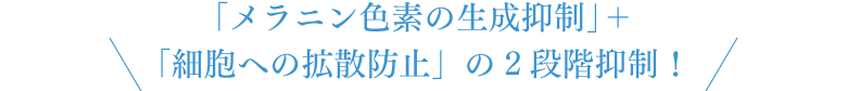 「メラニン色素の生成抑制」＋「細胞への拡散防止」の2段階抑制！