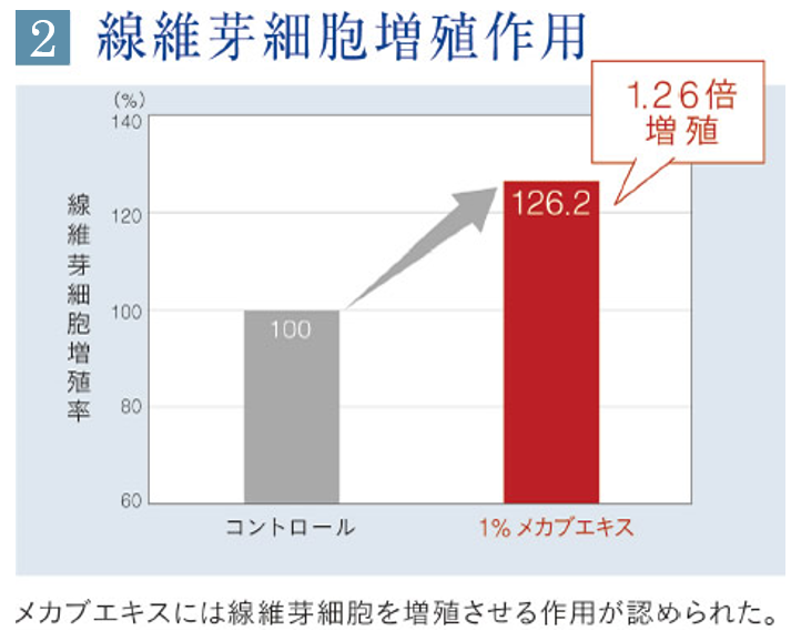 線維芽細胞増殖作用。メカブエキスには線維芽細胞を増殖される作用が認められた。