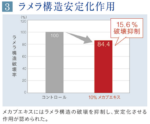 ラメラ構造安定化作用